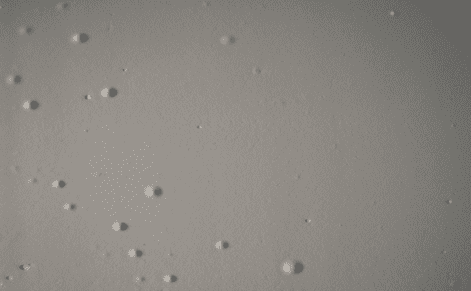 建筑乳膠漆起泡